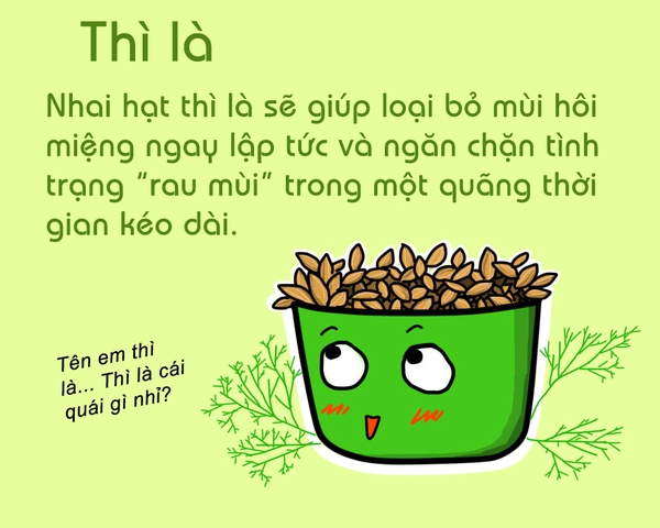 Trị hôi miệng trong “nháy mắt” bằng nguyên liệu có sẵn 2