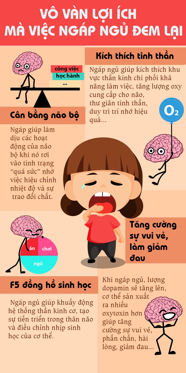 Vô vàn lợi ích mà việc ngáp ngủ mang lại 1