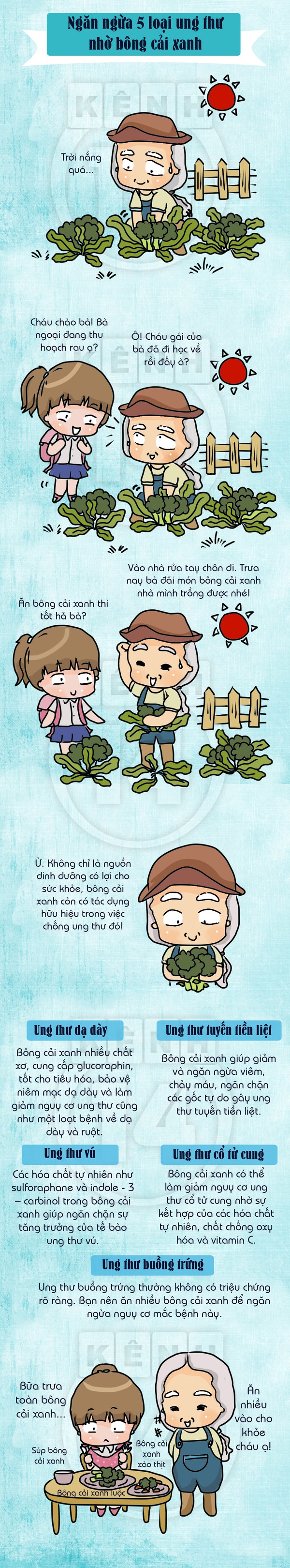 Ngăn ngừa 5 loại ung thư nhờ bông cải xanh 1