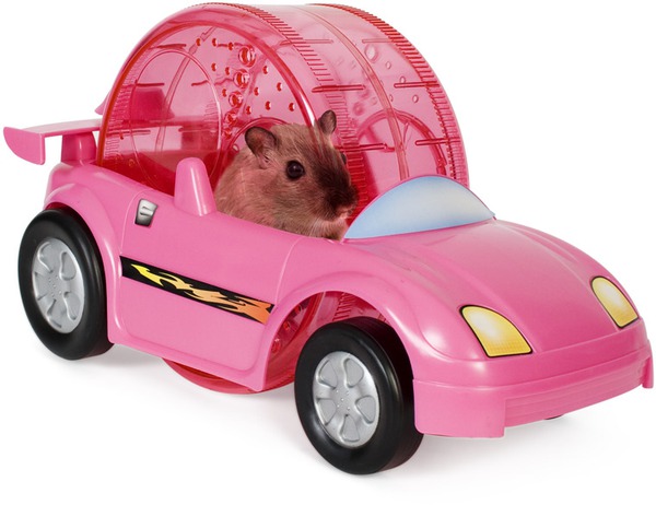 Xe đua dành riêng cho hamster 1