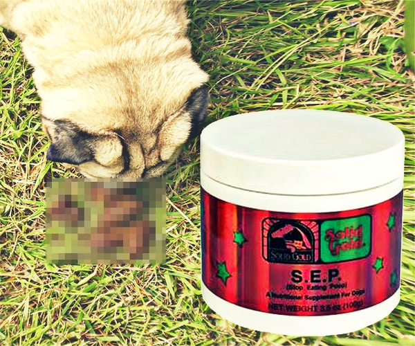 Dung dịch gi&uacute;p c&uacute;n cưng tr&aacute;nh xa "chất thải" của ch&iacute;nh m&igrave;nh 1