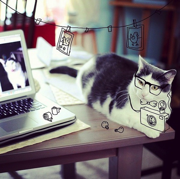 Bộ ảnh Instagram về những ch&uacute; m&egrave;o "nửa thật nửa vẽ" 1