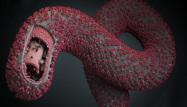 Những đặc điểm biến Ebola trở thành "virus ác quỷ" 2