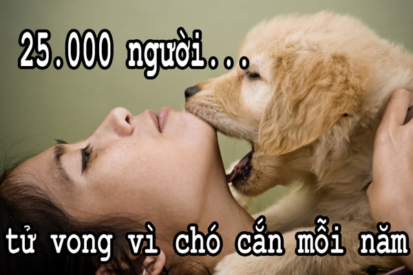 Fun fact "giật mình" về các nguyên nhân khiến con người chết oan 9