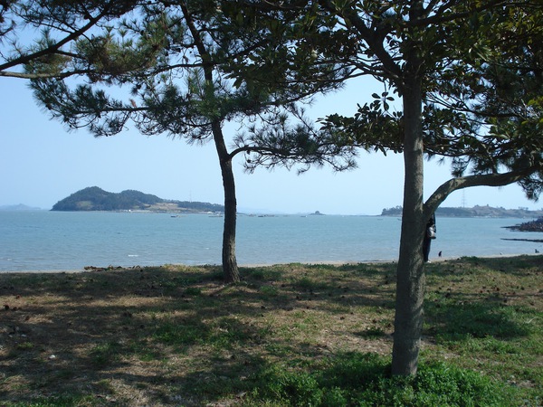 Giải mã bí ẩn bỗng dưng "biển tách làm đôi" ở Hàn Quốc 2