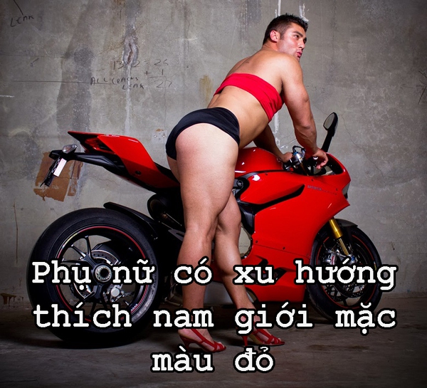 fun-fact-cuoi-sai-quai-ham-voi-su-that-co-102-ve-phai-dep.jpg