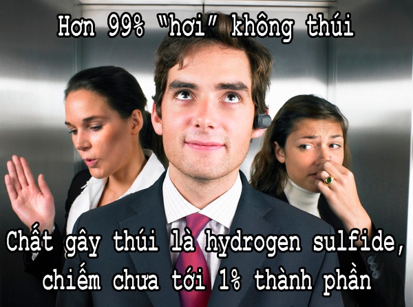 Fun fact: Những sự thật “bốc mùi” về chuyện con người “xì hơi” 1