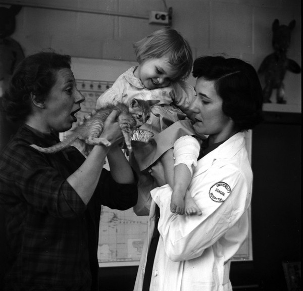 Xem động vật "chữa bệnh" cho trẻ em ở thập niên 50 3