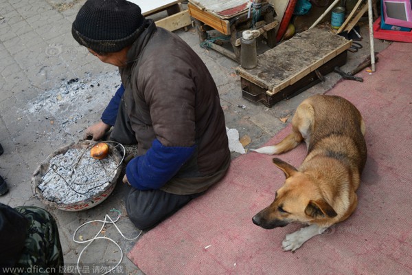 Cảm động chú chó đẩy xe lăn đưa chủ nhân tàn tật đi làm hàng ngày 3