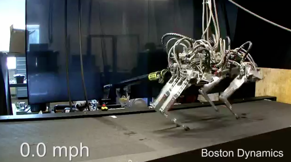 Thụy Sĩ chế tạo th&agrave;nh c&ocirc;ng... robot "m&egrave;o" 1