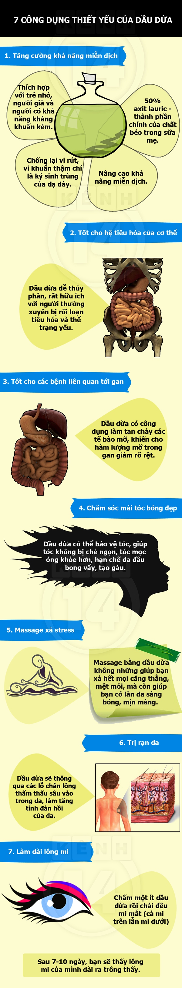 Dầu dừa và những điều "kì diệu" với sức khỏe 1