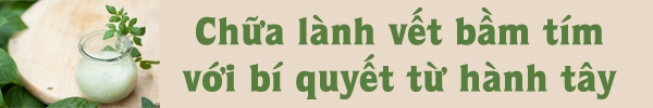 "Ti&ecirc;u diệt" tế b&agrave;o chết gi&uacute;p ch&acirc;n "c&agrave;ng th&ecirc;m xinh" 3