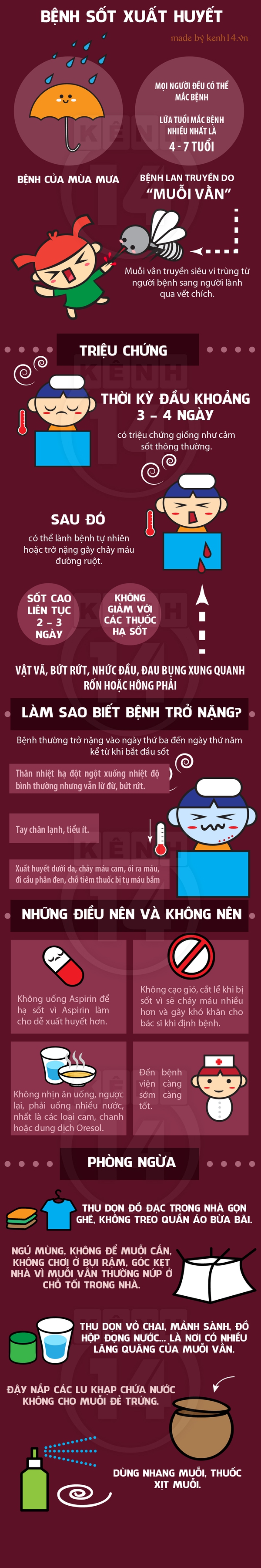 Xem nhanh "bí kíp" chống lại bệnh sốt xuất huyết đang rình rập 1