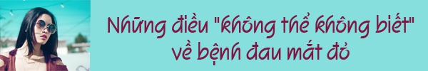 Xem nhanh "bí kíp" chống lại bệnh sốt xuất huyết đang rình rập 2