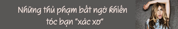 L&agrave;m đẹp m&aacute;i t&oacute;c bằng tuyệt chi&ecirc;u ăn v&agrave;... ăn 4
