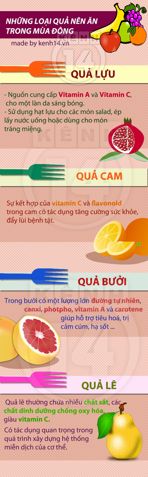 4 loại quả mùa đông "đặc biệt" dành cho sức khỏe 1