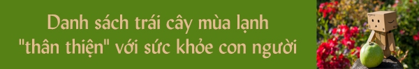 Gia tăng trí thông minh với những loại đồ ăn dễ tìm 4