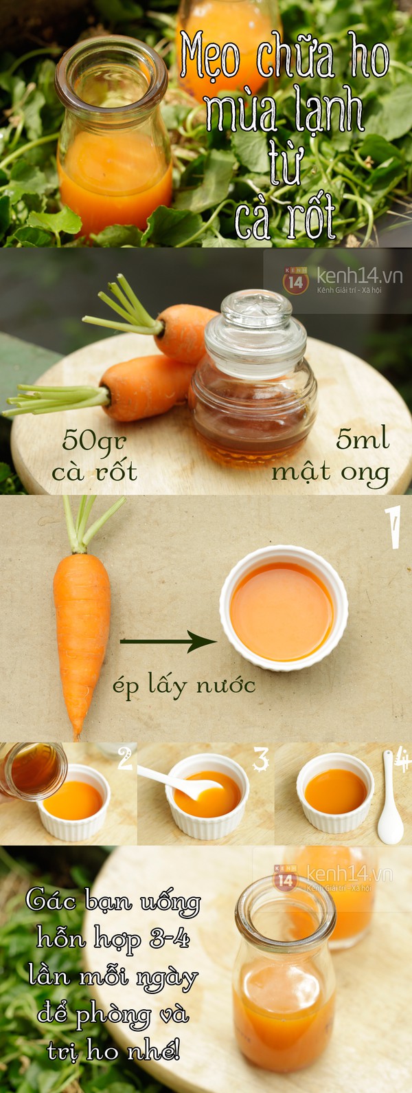 C&ocirc;ng thức 2 trong 1 ph&ograve;ng ngừa v&agrave; trị ho từ c&agrave; rốt 1