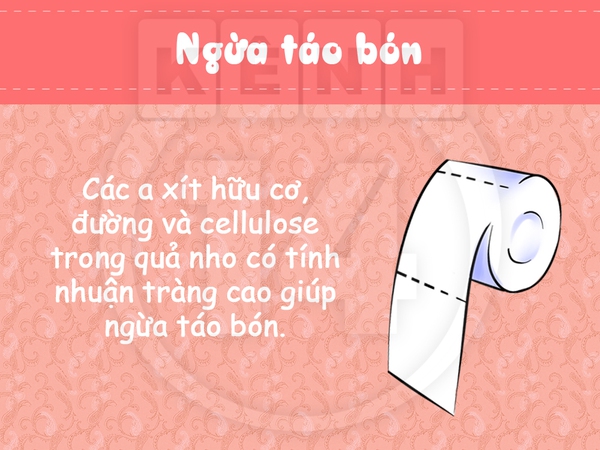 Sức mạnh "kỳ diệu" cho sức khỏe từ quả nho  5