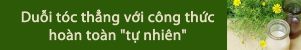 Giảm mỡ thừa với bí quyết tiết kiệm từ trà 2