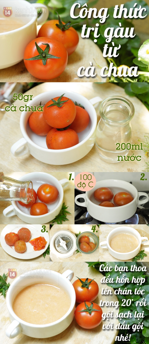 Trị gàu đơn giản với công thức từ cà chua 1