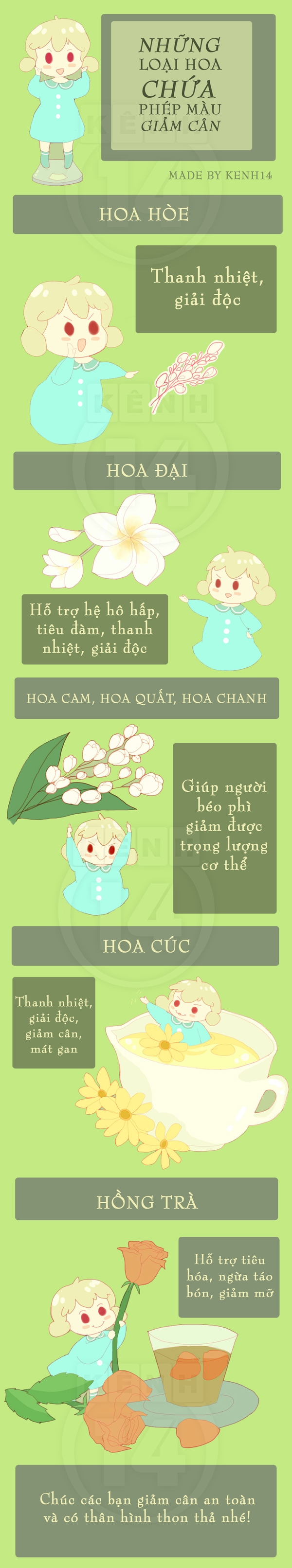 Các loại hoa chứa "phép màu" giảm cân 1