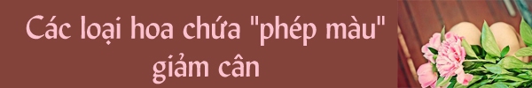 Biện pháp giữ da đẹp trong khi đang giảm cân 2