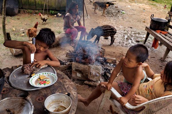 Sự sống bị đe dọa ở "thi&ecirc;n đường" Tr&aacute;i đất 18