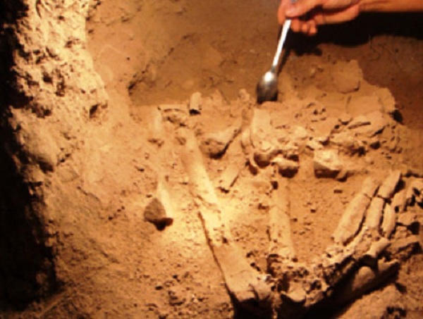 Khai quật ngôi mộ táng của người tiền sử ở Việt Nam 3