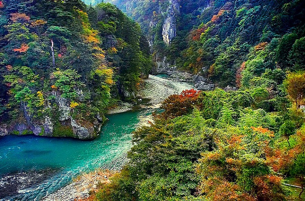 Đến Nhật Bản ngắm núi, rừng, thác nước bình yên 1