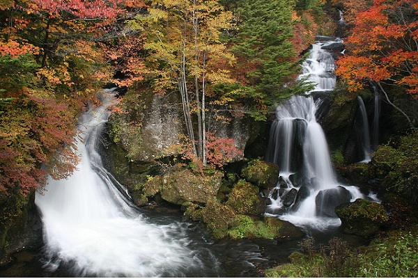 Đến Nhật Bản ngắm núi, rừng, thác nước bình yên 8