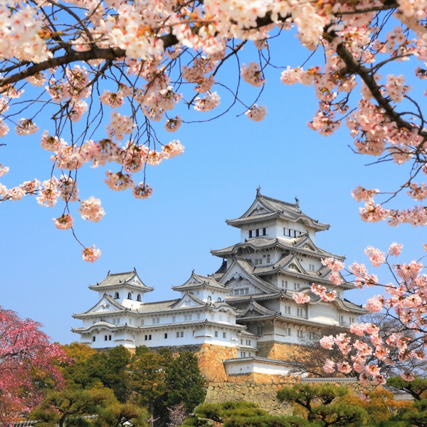 Lâu đài tuyệt đẹp có giếng nước "ma ám" ở Nhật 2