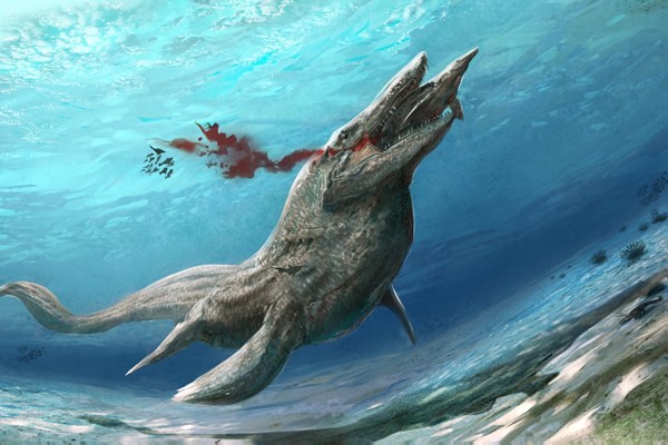 Cận cảnh "quái vật" đại dương thời tiền sử  7