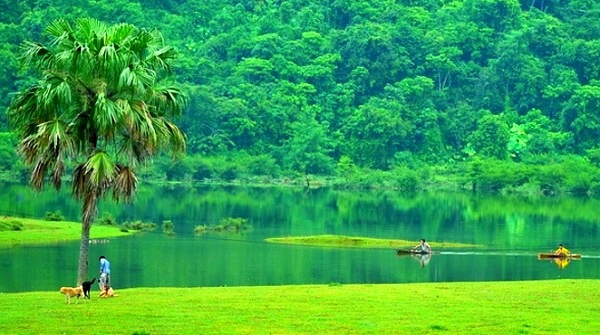 Thăm 6 khu rừng "bồng bềnh" tr&ecirc;n mặt nước  2