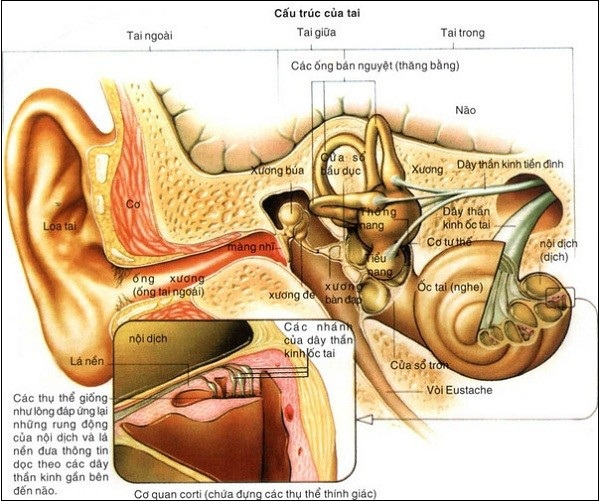 Lý giải những điều hiển nhiên nhưng chẳng bao giờ hiểu 5