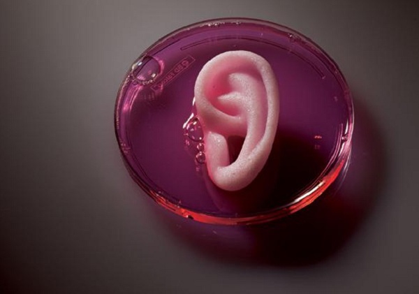 10 "b&iacute; k&iacute;p" khoa học gi&uacute;p k&eacute;o d&agrave;i tuổi thọ 15