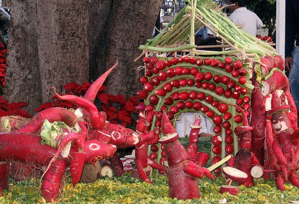 Kh&aacute;m ph&aacute; lễ hội "biến củ cải th&agrave;nh con người"  8