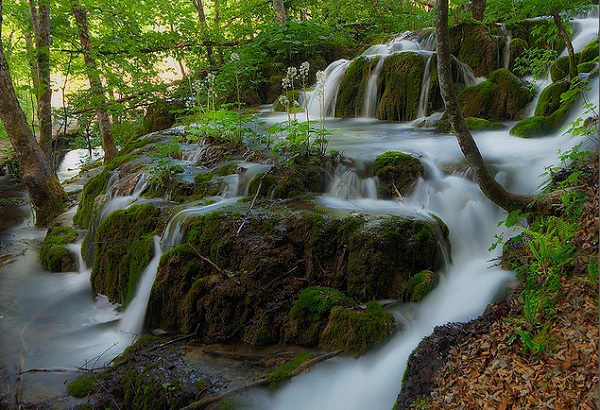 Thiên nhiên tuyệt mỹ của "hồ thần tiên" Plitvice  6