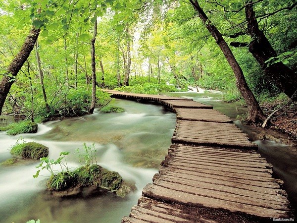 Thiên nhiên tuyệt mỹ của "hồ thần tiên" Plitvice  10