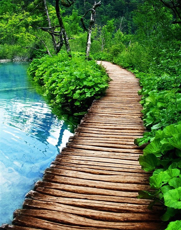 Thiên nhiên tuyệt mỹ của "hồ thần tiên" Plitvice  11