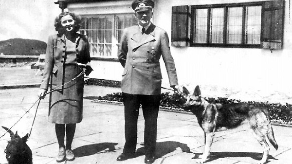 Đội quân chó của Hitler, đội quân chó thời Đức Quốc Xã