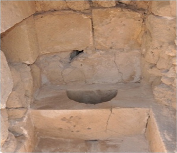 Khảo cổ "chất thải" thời cổ đại ở toilet 800 năm tuổi 1