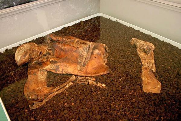 Vẻ đẹp "kh&ocirc;ng t&igrave; vết" của những x&aacute;c ướp đầm lầy 6