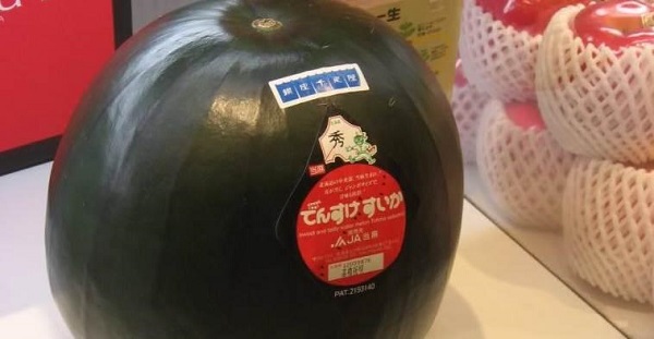 Tuyển tập c&aacute;c loại quả ngon c&oacute; gi&aacute; "cắt cổ" 4