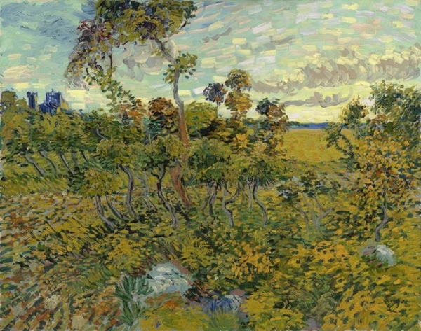 Phát hiện bức tranh "gây bất ngờ" của Van Gogh 1