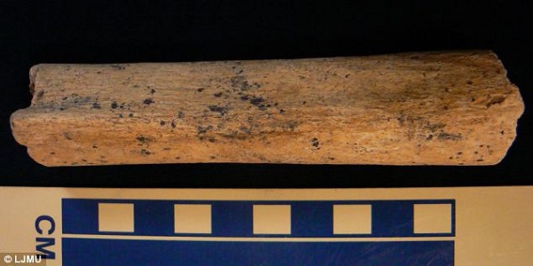 Phát hiện mảnh xương đùi 10.000 năm tuổi 1