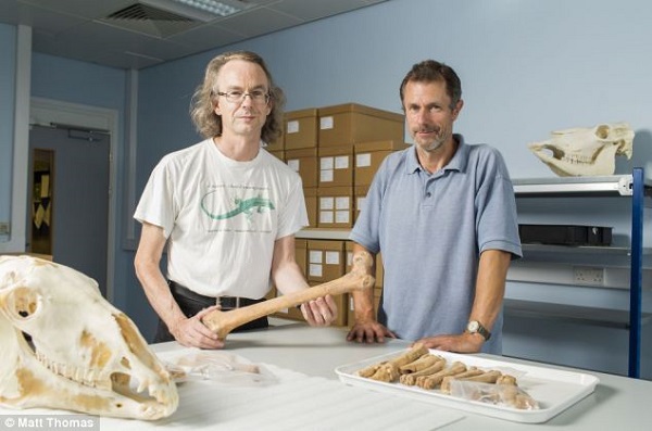 Phát hiện mảnh xương đùi 10.000 năm tuổi 2