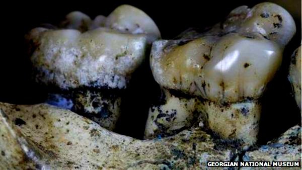Bằng chứng cho thấy người cổ đại đã biết dùng tăm để "xỉa răng" 1