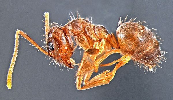 Những tập t&iacute;nh "qu&aacute;i gở đến đ&aacute;ng sợ" của c&ocirc;n tr&ugrave;ng 11