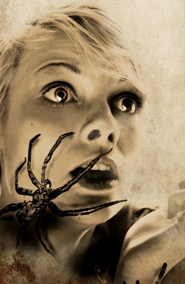 Hội chứng sợ nhện có khả năng di truyền 1